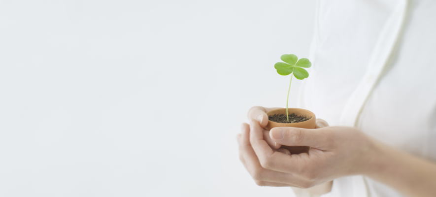 業務　相続・遺言・後見・借金等